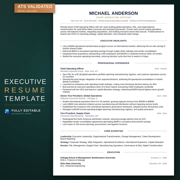 Executive résumé template — listing image on the RoberOnix teal background